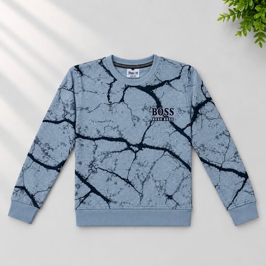 Boys Gray Blue Sweatshirt
